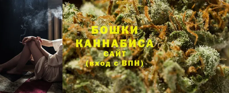 наркота  Лесозаводск  Бошки марихуана OG Kush 